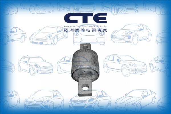 CTE CBH05013 - Suspension, bras de liaison cwaw.fr