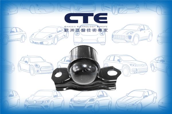 CTE CBH06046L - Suspension, bras de liaison cwaw.fr