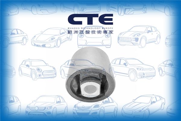 CTE CBH15007 - Suspension, bras de liaison cwaw.fr