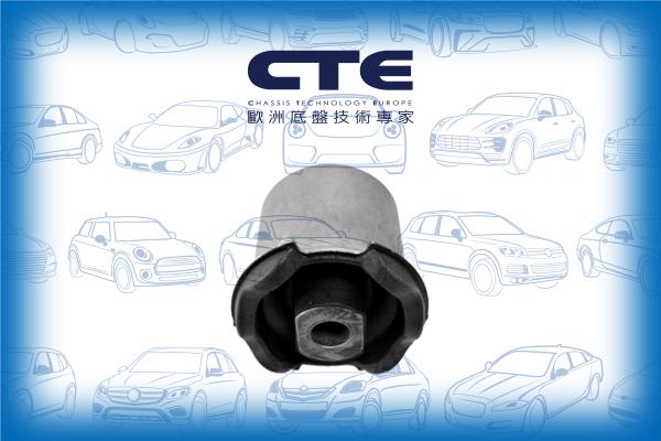 CTE CBH31007 - Suspension, bras de liaison cwaw.fr