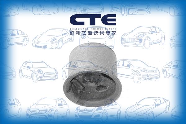 CTE CBH20023 - Suspension, bras de liaison cwaw.fr