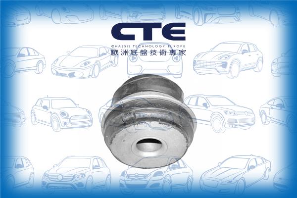 CTE CBH21001 - Suspension, bras de liaison cwaw.fr