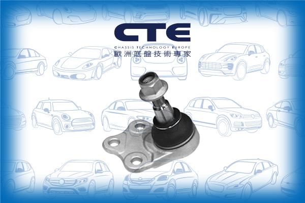 CTE CBJ31006 - Rotule de suspension cwaw.fr