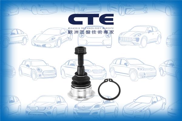 CTE CBJ31008 - Rotule de suspension cwaw.fr