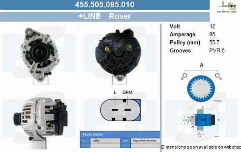 PSH 455.505.085.010 - Alternateur cwaw.fr