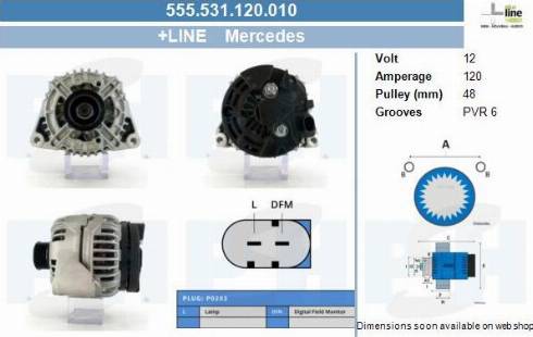 PSH 555.531.120.010 - Alternateur cwaw.fr