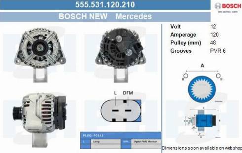 PSH 555.531.120.210 - Alternateur cwaw.fr