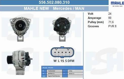 PSH 556.502.080.310 - Alternateur cwaw.fr