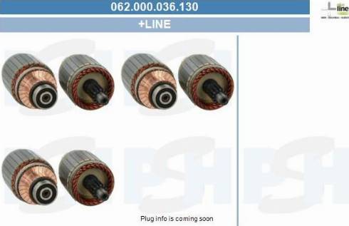 PSH 062.000.036.130 - Induit, démarreur cwaw.fr