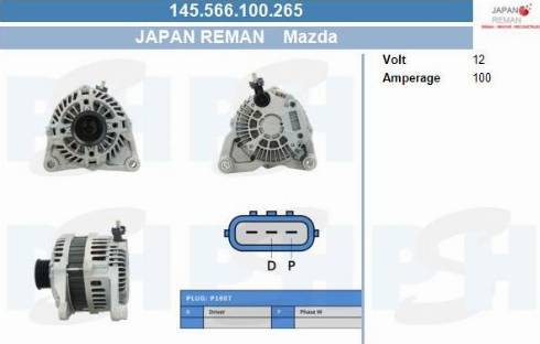 PSH 145.566.100.265 - Alternateur cwaw.fr