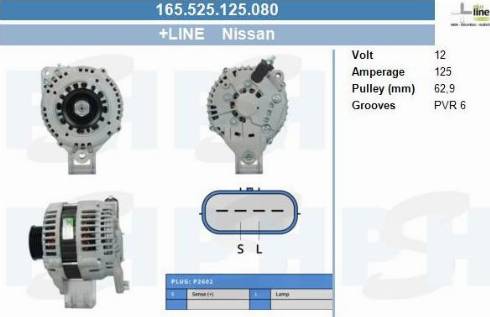 PSH 165.525.125.080 - Alternateur cwaw.fr