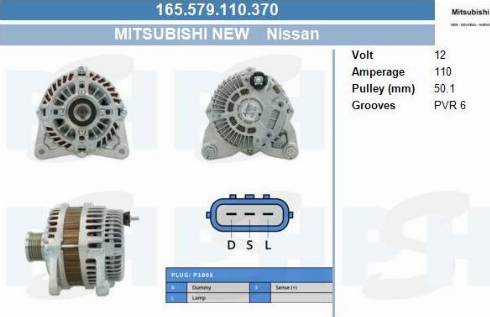 PSH 165.579.110.370 - Alternateur cwaw.fr