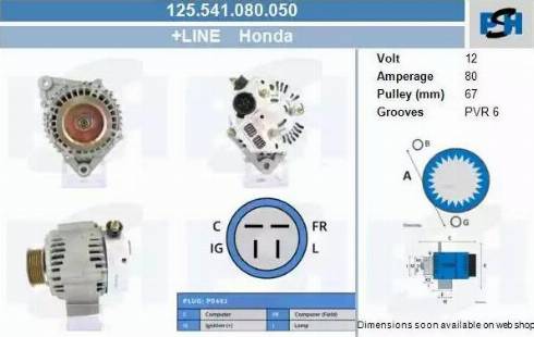 PSH 125.541.080.050 - Alternateur cwaw.fr