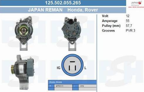 PSH 125.502.055.265 - Alternateur cwaw.fr