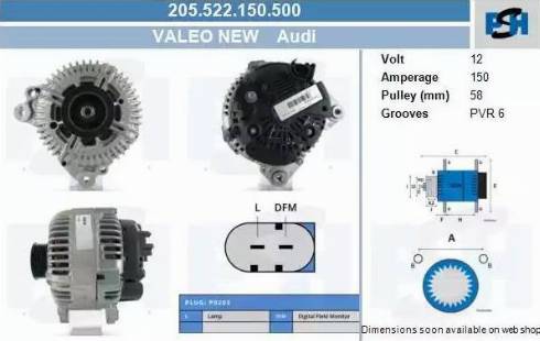 PSH 205.522.150.500 - Alternateur cwaw.fr