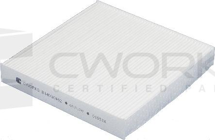 Cworks B140G0462 - Filtre, air de l'habitacle cwaw.fr