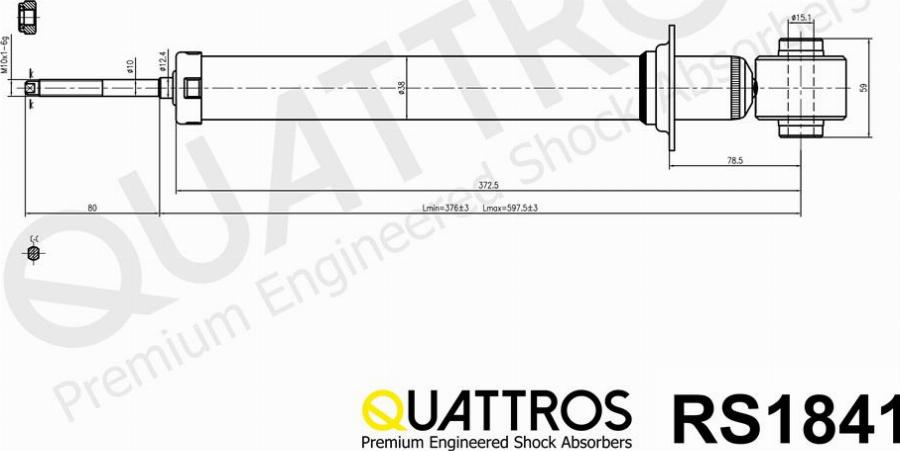 DAVID VASCO RS1841 - Amortisseur cwaw.fr