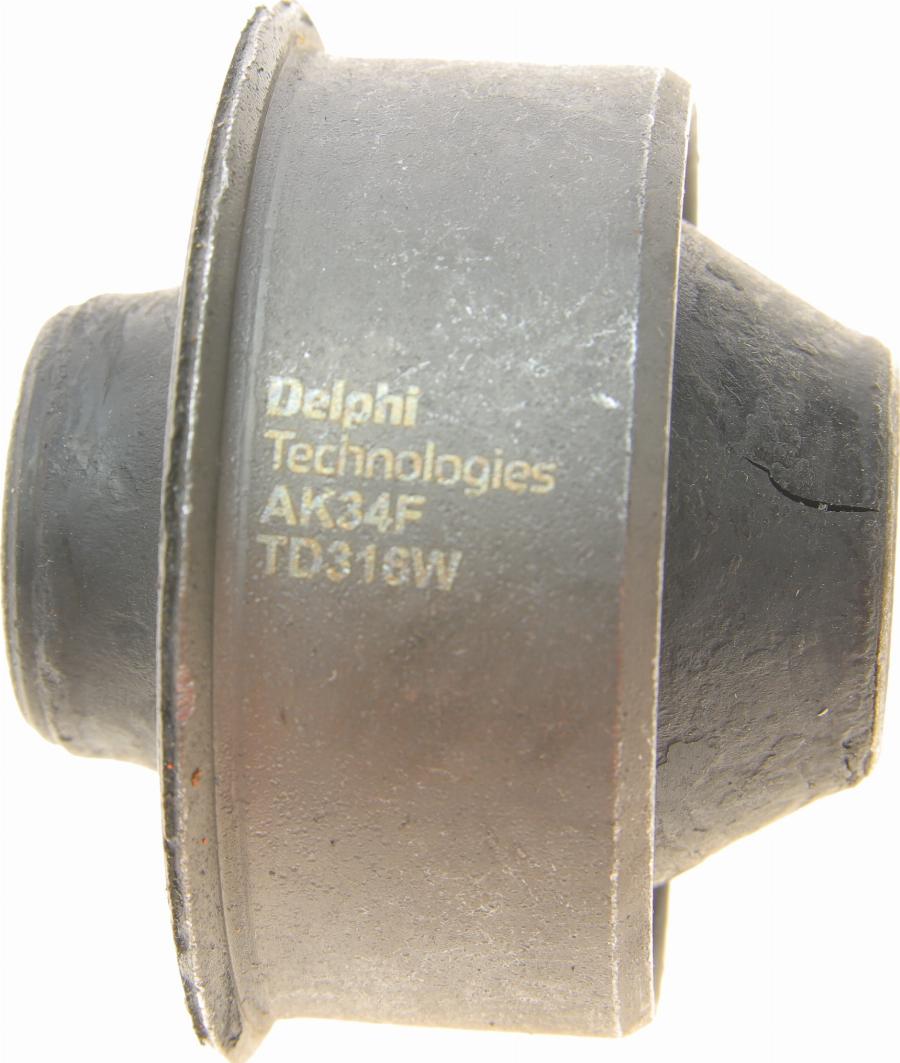 Delphi TD316W - Suspension, bras de liaison cwaw.fr