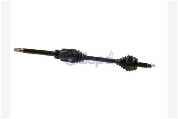 DEPA 3660220 - Arbre de transmission cwaw.fr