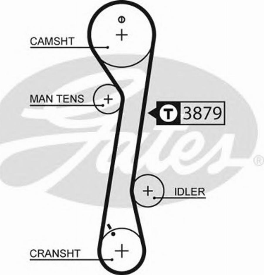 Dongil 113RU25.4 - Courroie de distribution cwaw.fr