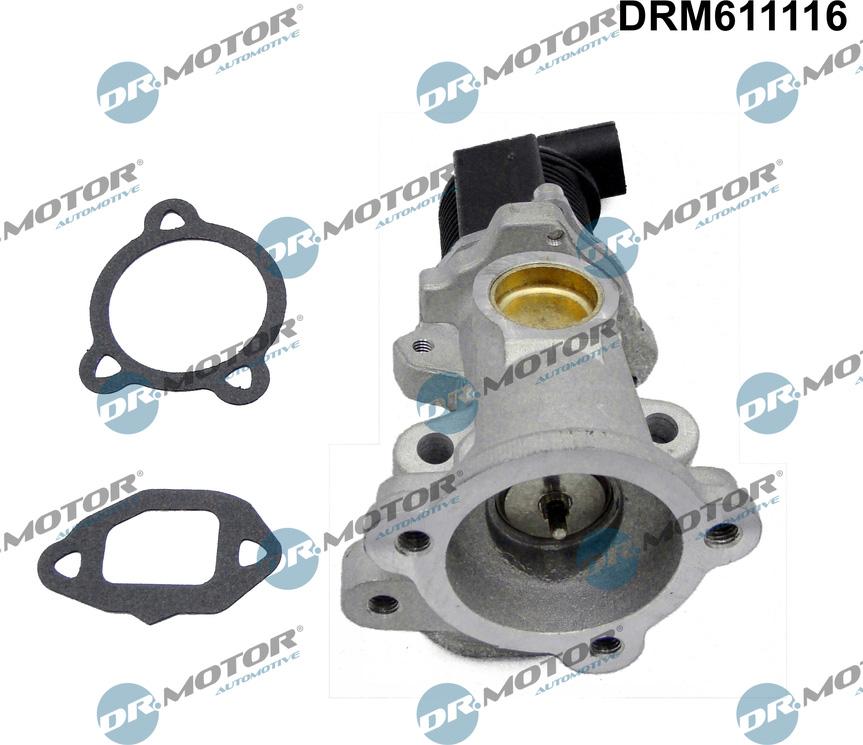 Dr.Motor Automotive DRM611116 - Vanne EGR cwaw.fr