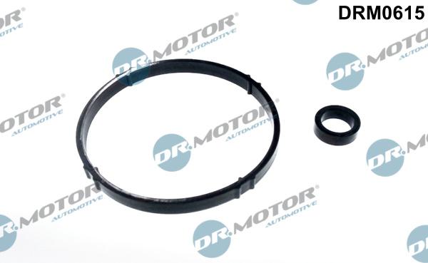 Dr.Motor Automotive DRM0615 - Kit de joints, radiateur d'huile cwaw.fr