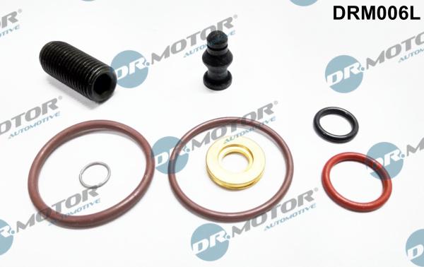 Dr.Motor Automotive DRM006L - Kit de réparation, unité pompe-injecteur cwaw.fr