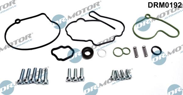 Dr.Motor Automotive DRM0192 - Kit de réparation, pompe à vide (freinage) cwaw.fr