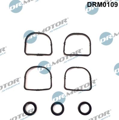 Dr.Motor Automotive DRM0109 - Jeu de joints d'étanchéité, collecteur d'admission cwaw.fr