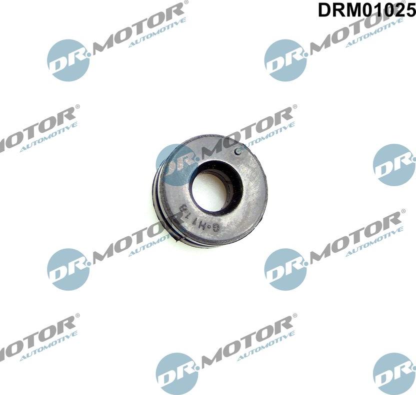 Dr.Motor Automotive DRM01025 - Butée élastique, cache moteur cwaw.fr