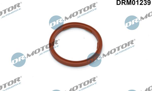 Dr.Motor Automotive DRM01239 - Joint, capteur du niveau d'huile cwaw.fr