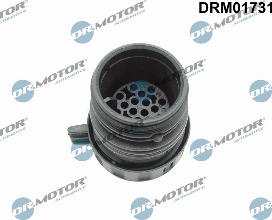 Dr.Motor Automotive DRM01731 - Boîtier de connecteur, unité de commande boîte automatique cwaw.fr