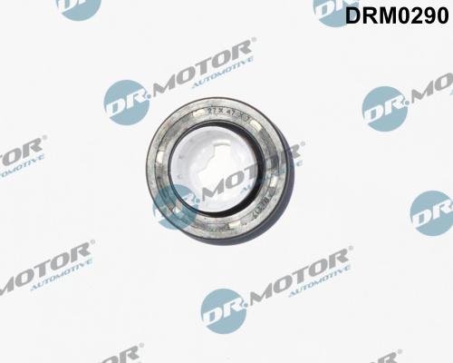 Dr.Motor Automotive DRM0290 - Bague d'étanchéité, arbre à cames cwaw.fr