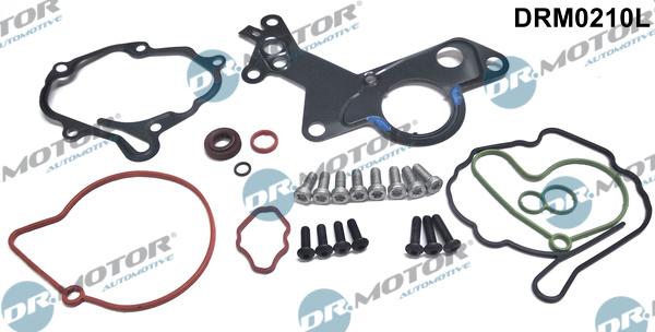 Dr.Motor Automotive DRM0210L - Kit de réparation, pompe à vide (freinage) cwaw.fr