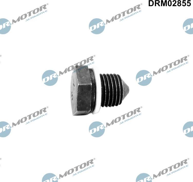 Dr.Motor Automotive DRM02855 - Vis-bouchon, carter d'huile cwaw.fr