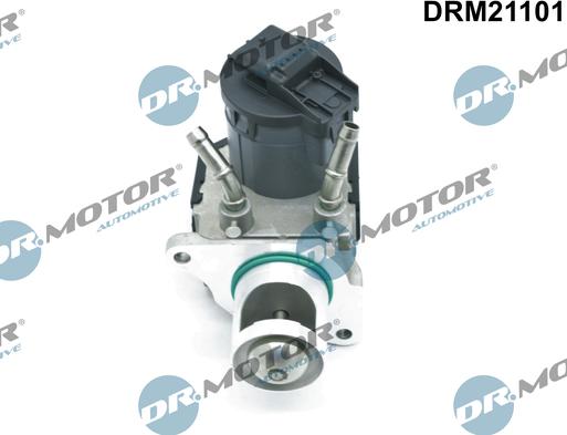 Dr.Motor Automotive DRM21101 - Vanne EGR cwaw.fr