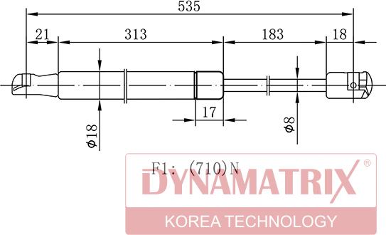 Dynamatrix DGS100029 - Vérin de hayon, de coffre cwaw.fr