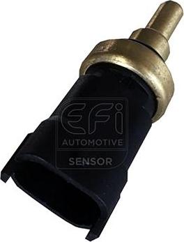 EFI 295098 - Sonde de température, liquide de refroidissement cwaw.fr