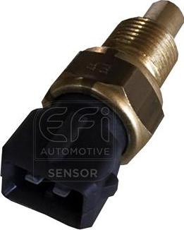 EFI 295171 - Sonde de température, liquide de refroidissement cwaw.fr