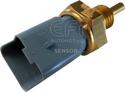 EFI 295173 - Sonde de température, liquide de refroidissement cwaw.fr