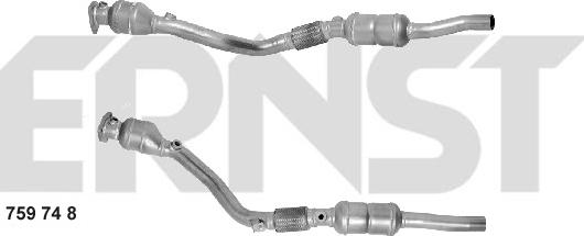 ERNST 759748 - Catalyseur cwaw.fr