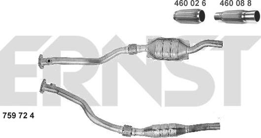 ERNST 759724 - Catalyseur cwaw.fr