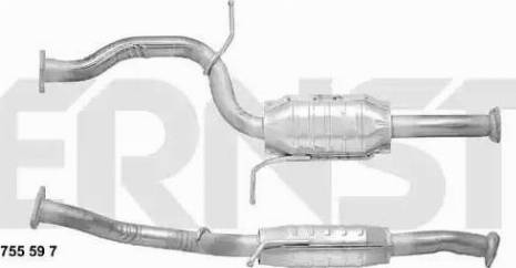 ERNST 755597 - Catalyseur cwaw.fr