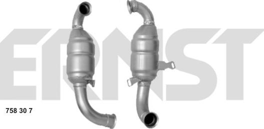 ERNST 758307 - Catalyseur cwaw.fr