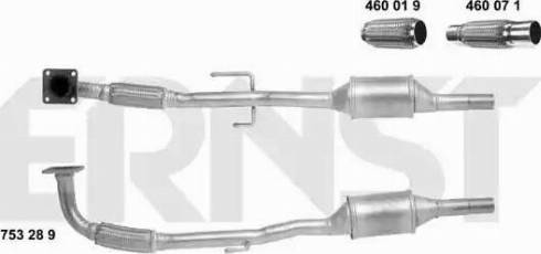 ERNST 753289 - Catalyseur cwaw.fr