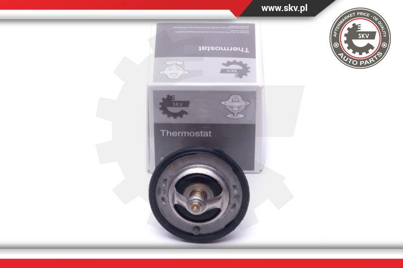 Esen SKV 20SKV131 - Thermostat d'eau cwaw.fr