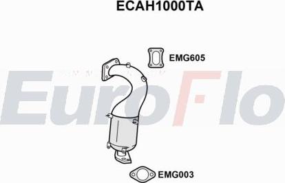 EuroFlo ECAH1000TA - Catalyseur cwaw.fr