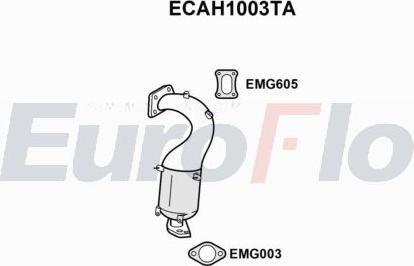 EuroFlo ECAH1003TA - Catalyseur cwaw.fr