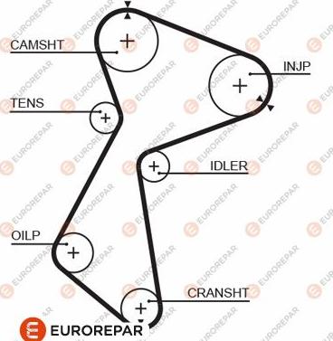 EUROREPAR 1633140080 - Courroie de distribution cwaw.fr