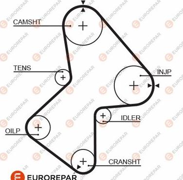 EUROREPAR 1633142980 - Courroie de distribution cwaw.fr